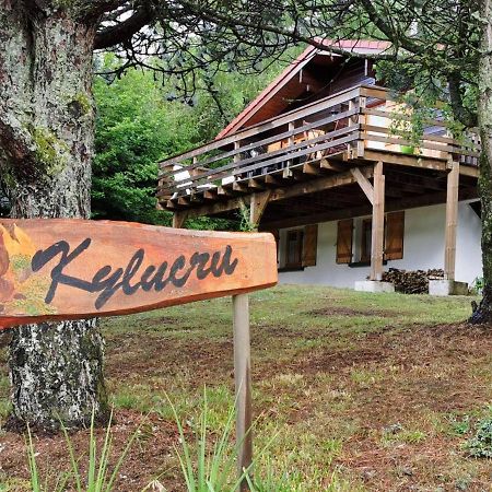 Villa Chalet Kylucru 6 personnes classé 2 étoiles à Xonrupt-Longemer Extérieur photo